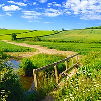Buy canvas prints of River Misbourne, near Amersham in Spring by David Brown
