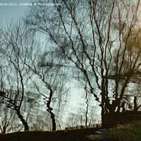 Buy canvas prints of Blurry reflection of bare trees in the water at sunset. by Sergii Petruk