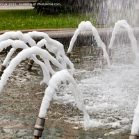 Buy canvas prints of Foamed, dense jets of water burst from metal nozzles in the city fountain. by Sergii Petruk