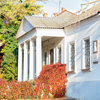 Buy canvas prints of Colorful autumn landscape of an old house with white columns and bright red wild grapes on the facade with a sunny day. by Sergii Petruk