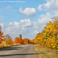 Buy canvas prints of Autumnal orange and yellow foliage of roadside trees flank the old tarmac road. by Sergii Petruk