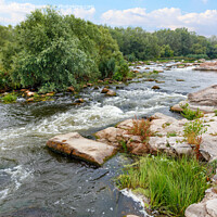 Buy canvas prints of The rapid flow of the river between rocky banks with stone rapids and greenery in a summer landscape. by Sergii Petruk