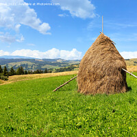 Buy canvas prints of Haystack in the Carpathians on a green meadow against the backdrop of mountain hills. by Sergii Petruk