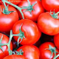Buy canvas prints of Branches of fresh red tomatoes with green stems close-up. by Sergii Petruk