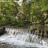 Buy canvas prints of Сascading waterfall of a mountain stream in the Carpathians by Sergii Petruk