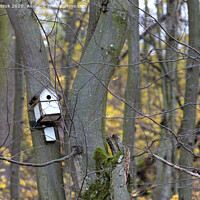 Buy canvas prints of birdhouse hanging on a tree in the forest by Sergii Petruk