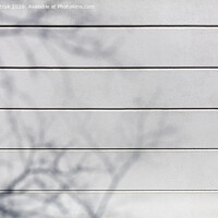 Buy canvas prints of Concrete wall texture white plaster with horizontal dividing grooves on the wall. by Sergii Petruk