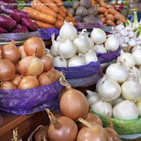 Buy canvas prints of different varieties of onions are sold in trays on the market by Sergii Petruk