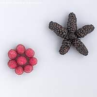 Buy canvas prints of Raspberry and a big black blackberry are arranged diagonally on a light background by Sergii Petruk