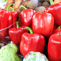Buy canvas prints of Large red sweet bell peppers on the background of other vegetables sold on the market by Sergii Petruk