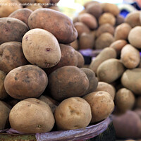 Buy canvas prints of Dry potato tubers on the background of various other varieties in the blur. by Sergii Petruk