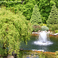 Buy canvas prints of Decorative pond with a fountain in a beautiful summer park. by Sergii Petruk