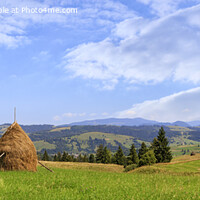 Buy canvas prints of A haystack stands in a meadow against the backdrop of the Carpathian mountains and slopes. by Sergii Petruk