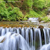 Buy canvas prints of Picturesque and beautiful cascade waterfall of a mountain river in the Carpathians. by Sergii Petruk