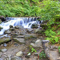 Buy canvas prints of The picturesque and beautiful cascade waterfall of a mountain river in the gorge of the Carpathians. by Sergii Petruk