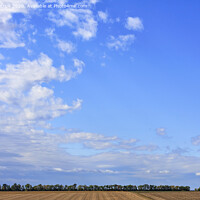 Buy canvas prints of Large white clouds float in the blue sky above the horizon of the field and forest belt. by Sergii Petruk