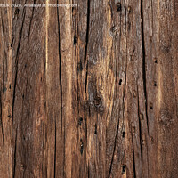Buy canvas prints of Texture and background of a very old brown wood. by Sergii Petruk