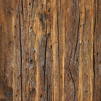 Buy canvas prints of Texture and background of a very old brown wood, vertical image. by Sergii Petruk