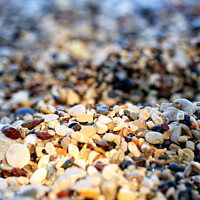 Buy canvas prints of Beach pebbles backlit by a bright sunbeam. by Sergii Petruk