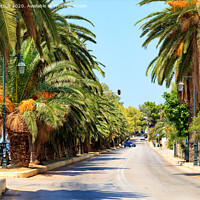Buy canvas prints of Avenue of date palms along a road on the coast of the Gulf of Corinth in Greece. by Sergii Petruk