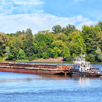 Buy canvas prints of A river tug is pushing a rusty barge along the river along the shore. by Sergii Petruk