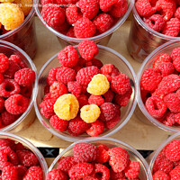 Buy canvas prints of Red and yellow raspberries are collected in plastic cups. by Sergii Petruk