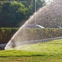Buy canvas prints of The green grass lawn is watered with a powerful sprinkler system. by Sergii Petruk