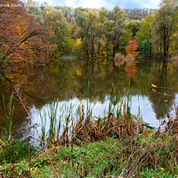 Buy canvas prints of Landscape of autumn forest lake with blue sky reflection in water. by Sergii Petruk