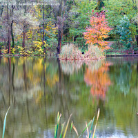 Buy canvas prints of Landscape of an autumn forest lake with the reflection of colorful trees in the water. by Sergii Petruk