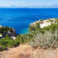 Buy canvas prints of A hard, thorny shrub grows on the slope of the Gulf of Corinth against the backdrop of a blue lagoon on the coast. by Sergii Petruk