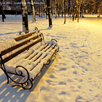 Buy canvas prints of A wooden bench in a winter city evening park is covered with snow and illuminated by the warm light of a street lamp. by Sergii Petruk