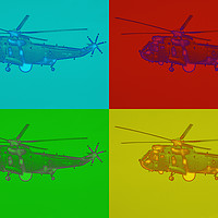 Buy canvas prints of Sea King by Charisse Carson