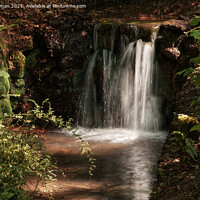 Buy canvas prints of Natural Spring  by Will Badman
