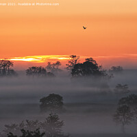 Buy canvas prints of Misty sunrise  by Will Badman