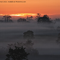 Buy canvas prints of Misty Sunrise by Will Badman