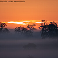 Buy canvas prints of Misty Sunrise by Will Badman