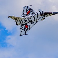 Buy canvas prints of French Rafale Display Team at Yeovilton Airday by Will Badman