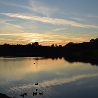 Buy canvas prints of Sunset over Sutton Bingham Reservoir Somerset  by Will Badman