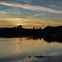 Buy canvas prints of Sunset over Sutton Bingham Reservoir Somerset  by Will Badman