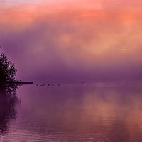 Buy canvas prints of Misty Sunrise over Sutton Bingham Reservoir  by Will Badman