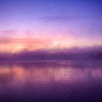 Buy canvas prints of Misty sunrise over Sutton Bingham Reservoir Uk  by Will Badman