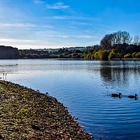Buy canvas prints of Fishing on Chard Reservoir Somerset Uk by Will Badman