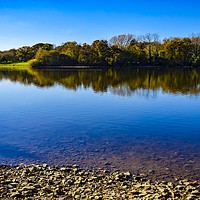Buy canvas prints of Chard Reservoir in Somerset Uk   by Will Badman