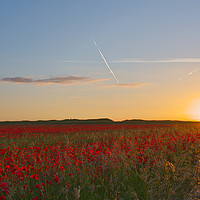 Buy canvas prints of Summer Solstice Sunset over a Poppy Field by Will Badman
