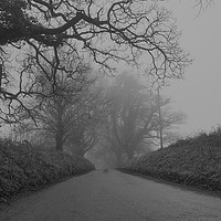 Buy canvas prints of Road to Nowhere  by Will Badman