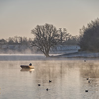 Buy canvas prints of Misty Winters Morning at Sutton Bingham Reservoir by Will Badman