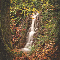 Buy canvas prints of Ninesprings Waterfall  by Will Badman