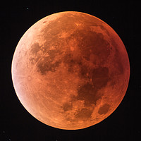 Buy canvas prints of Supermoon Lunar Eclipse by Jonathan Thomas