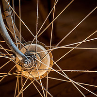 Buy canvas prints of Bicycle Wheel by David Belcher