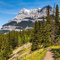 Buy canvas prints of Canadian mountain trail  by David Belcher